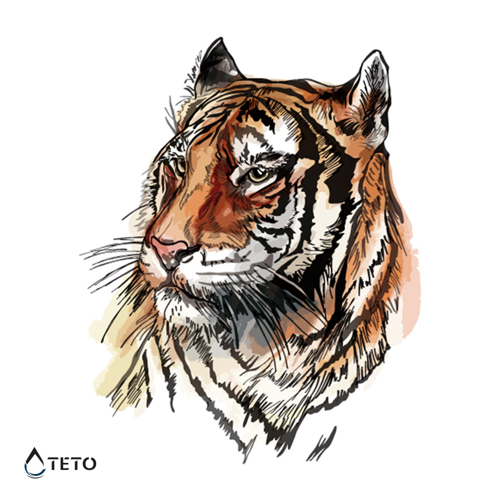 Nacrtan tigar - TETO Privremene Tetovaže