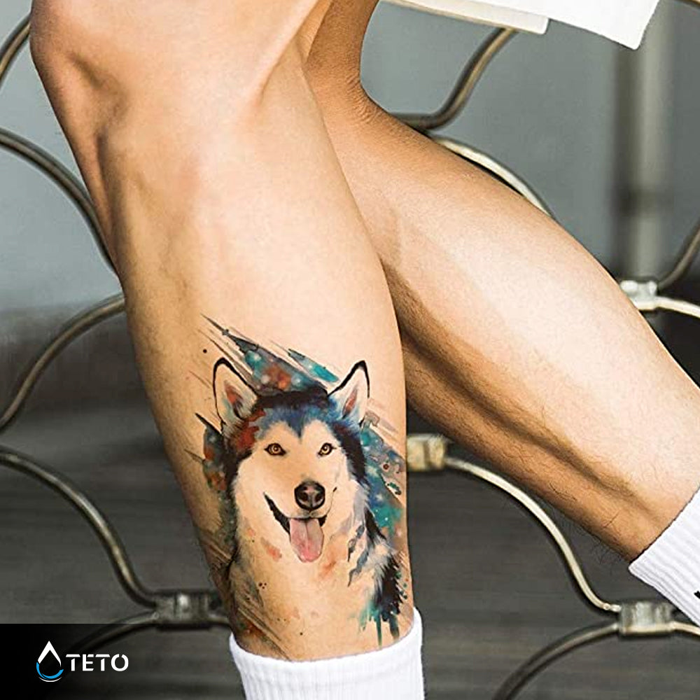 Husky pas - TETO Privremene Tetovaže