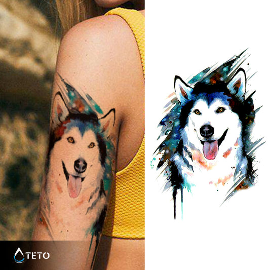 Husky pas - TETO Privremene Tetovaže