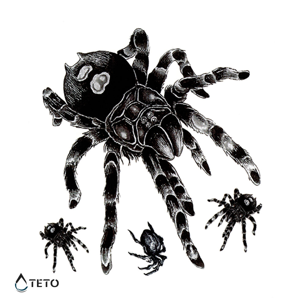 Tarantule – set