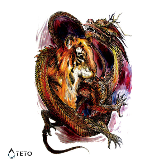 Tigar i zmaj