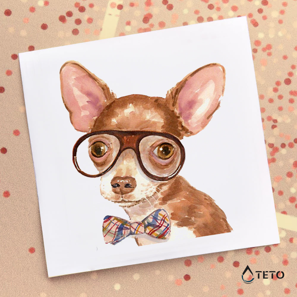 Chihuahua - TETO Privremene Tetovaže