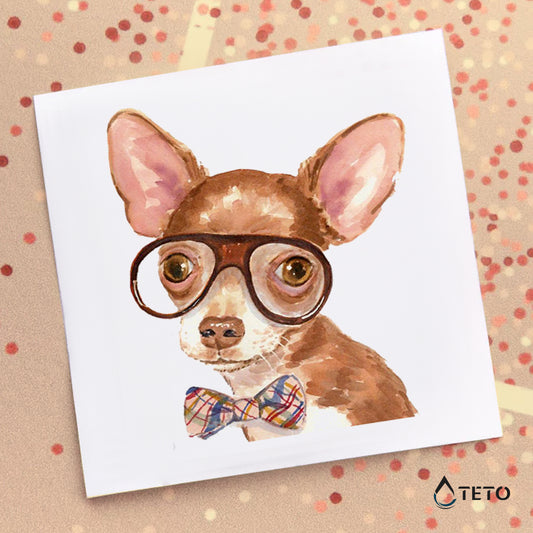 Chihuahua - TETO Privremene Tetovaže