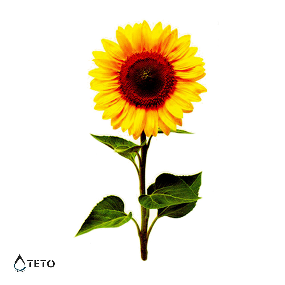 Suncokret - TETO Privremene Tetovaže