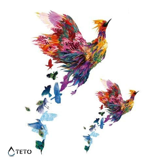 Ptica - set